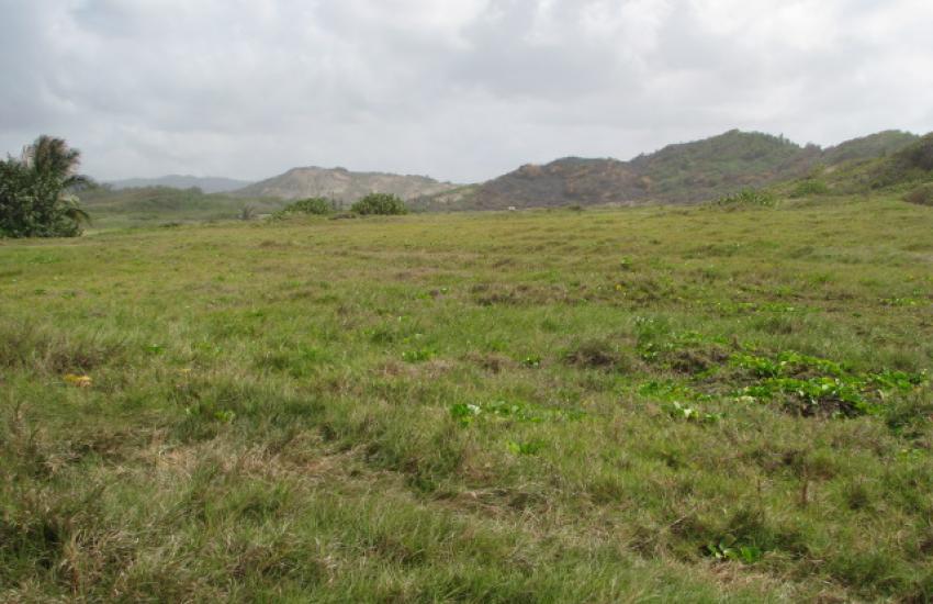 Walkers, St. Andrew Barbados H.V.REALTY SERVICE